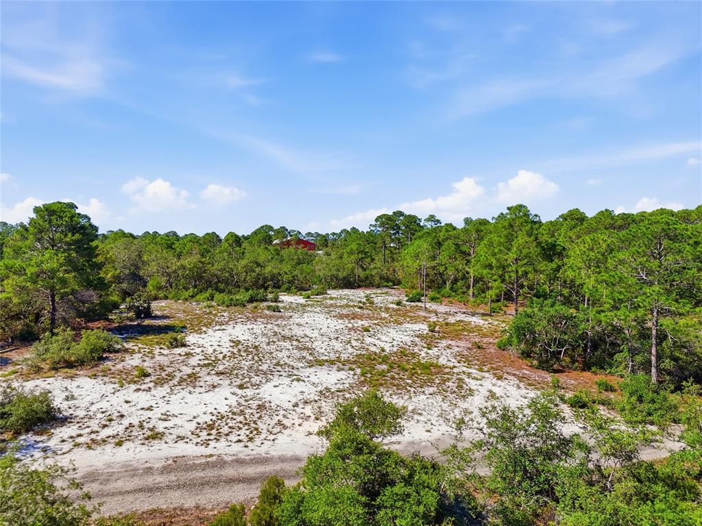An aerial view shows a sandy, partially cleared lot surrounded by dense pine trees — TBD STATE ROAD 24, CEDAR KEY, FL
