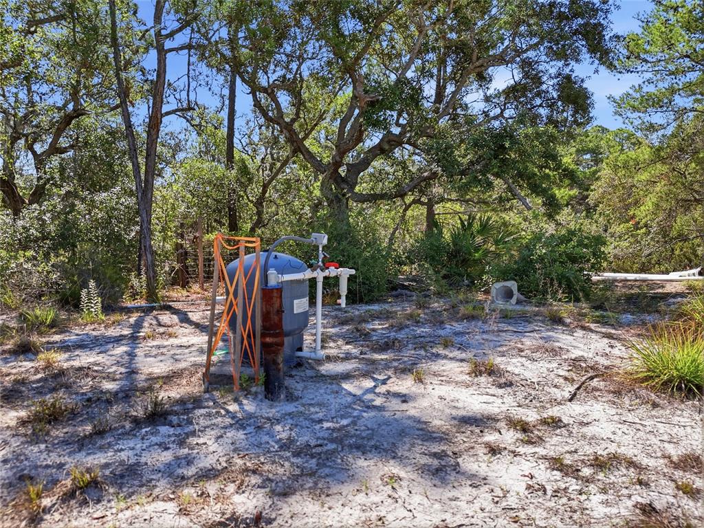 A blue pool filter tank sits on sandy ground surrounded by trees and vegetation — TBD STATE ROAD 24, CEDAR KEY, FL