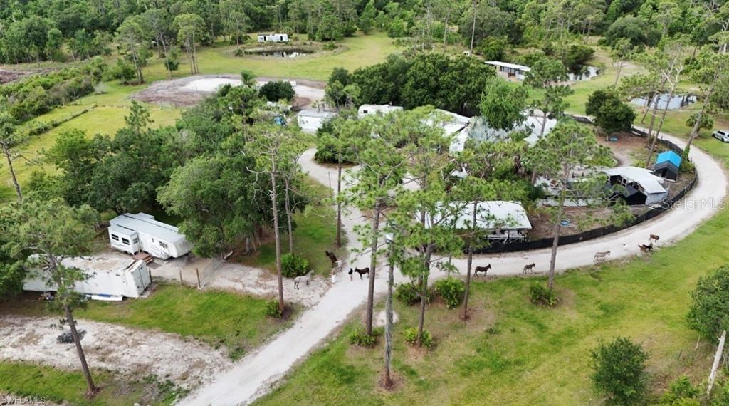 An aerial view shows a rural property with multiple mobile homes, trees, and several donkeys — 1375 W ASH ROAD, LABELLE, FL