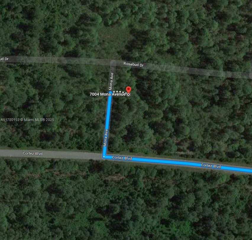 This is a satellite map view showing a plot of land near a road intersection — 7004 Mona Avenue, Sebring FL 33872, SEBRING, FL