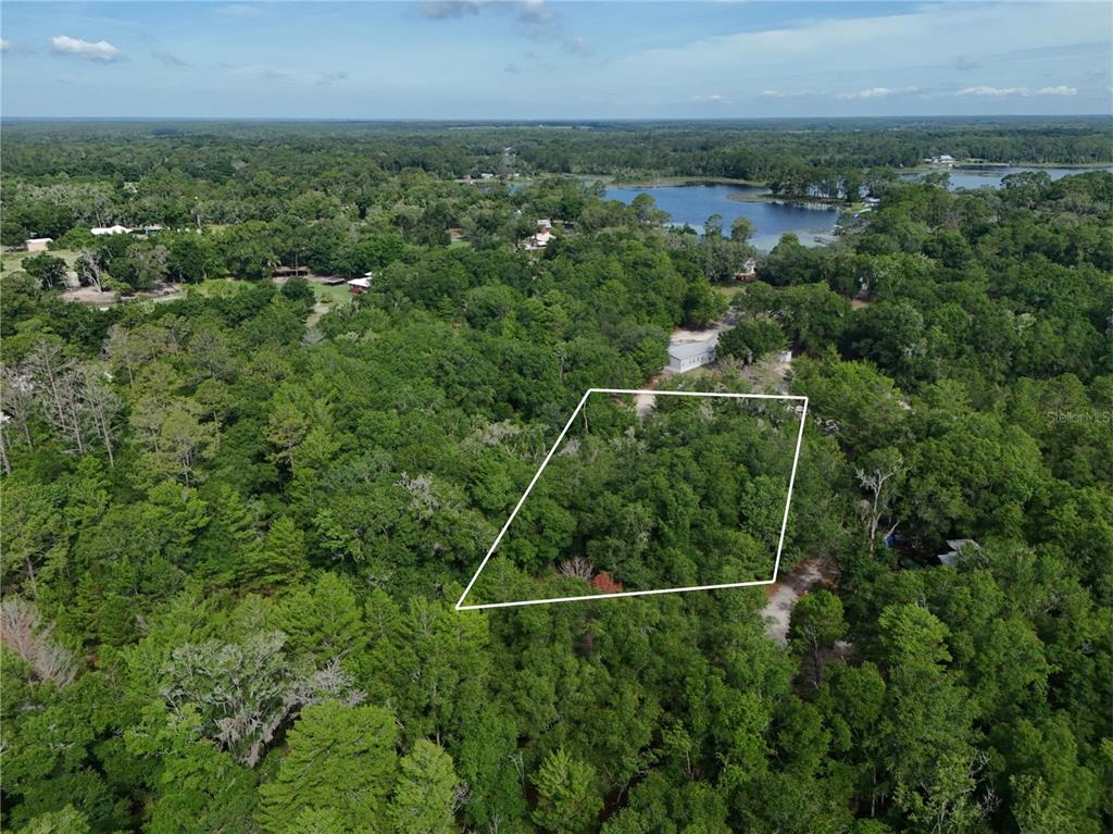 An aerial view shows a rectangular plot of land outlined in white amidst dense forest — 141 STRAWBERRY STREET, POMONA PARK, FL