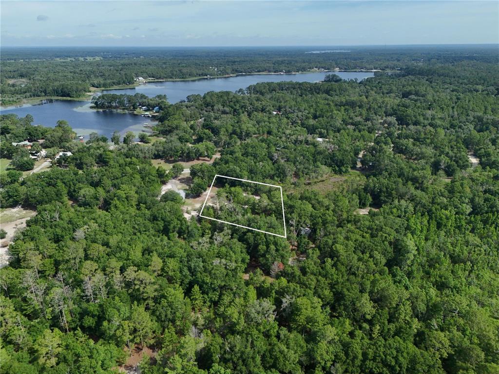 An aerial view shows a wooded lot outlined in white near a lake — 141 STRAWBERRY STREET, POMONA PARK, FL