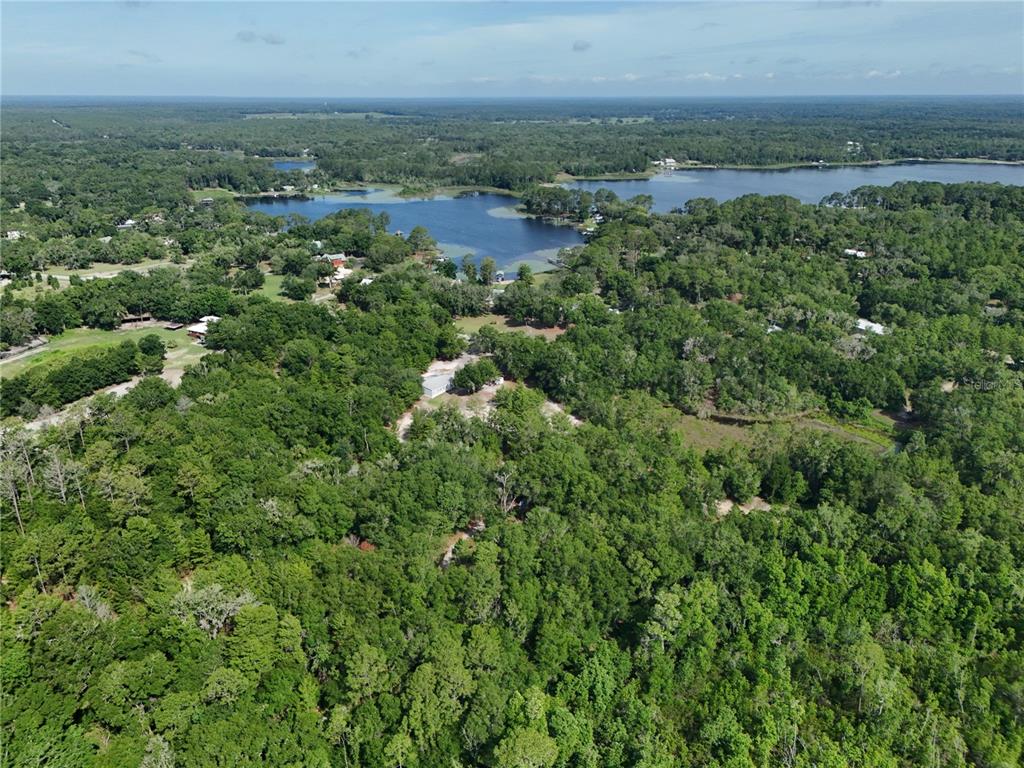 An aerial view shows a house surrounded by dense forest near a large lake — 141 STRAWBERRY STREET, POMONA PARK, FL