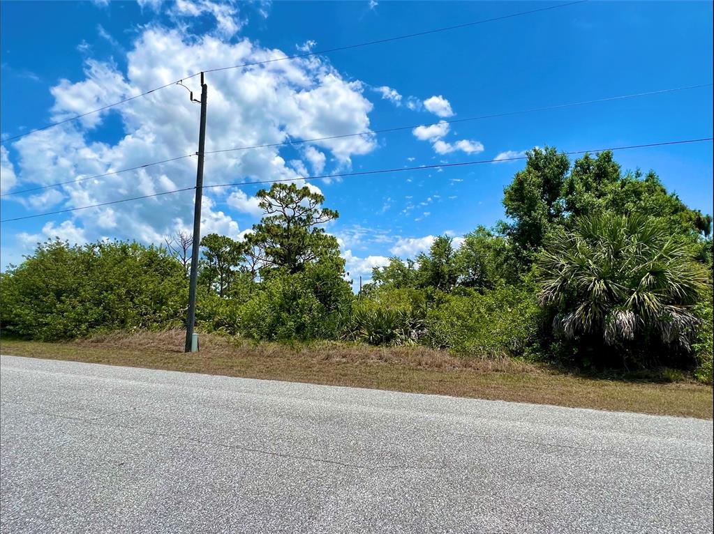 A paved road runs in front of a vacant, wooded lot with a utility pole — 13396 RAYBURN LANE, PORT CHARLOTTE, FL