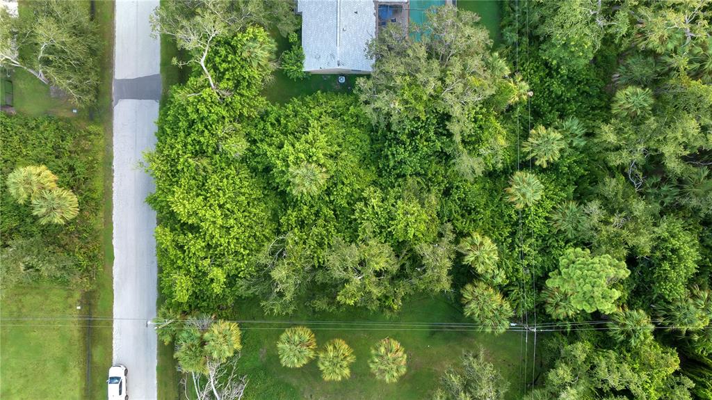 An aerial view shows a wooded residential lot next to a road and a house — 4355 MELIS STREET, PORT CHARLOTTE, FL