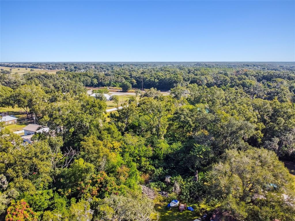 An aerial view shows a densely wooded area with scattered houses and a small boat — 8408 RICHLAND SCHOOL ROAD, ZEPHYRHILLS, FL