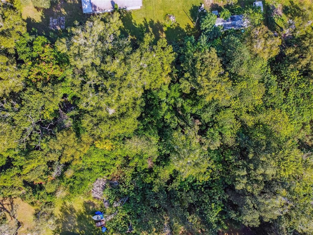 An aerial view shows a densely wooded lot with two small buildings and a boat — 8408 RICHLAND SCHOOL ROAD, ZEPHYRHILLS, FL