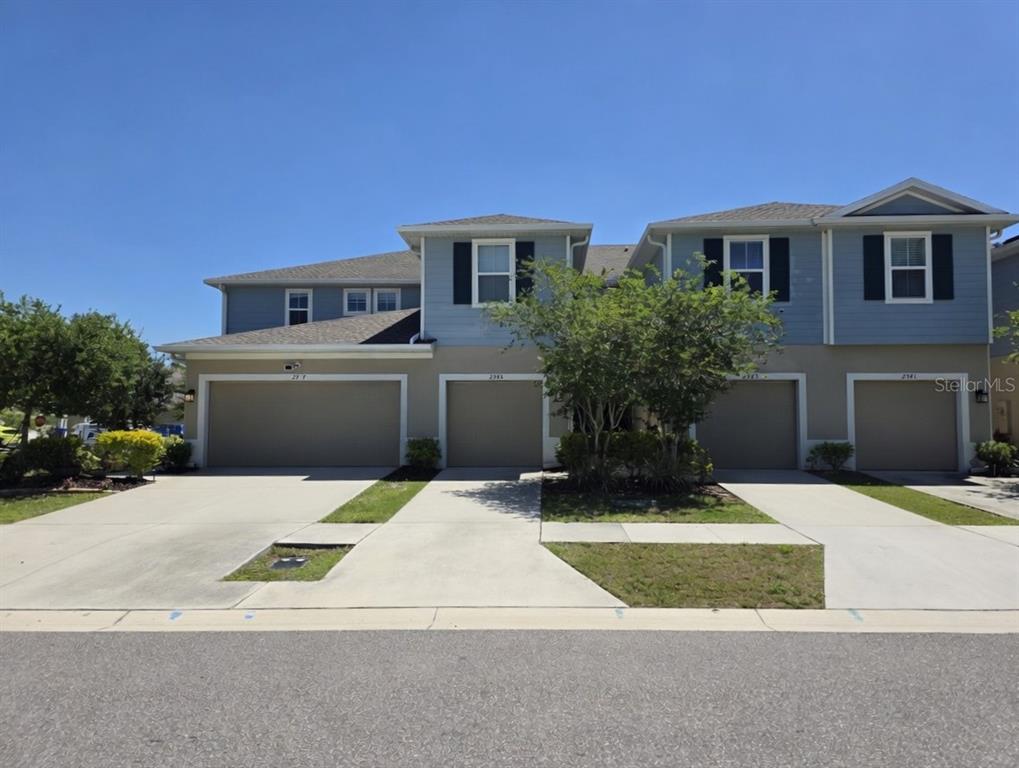 2945 RAMBLER IVY LOOP