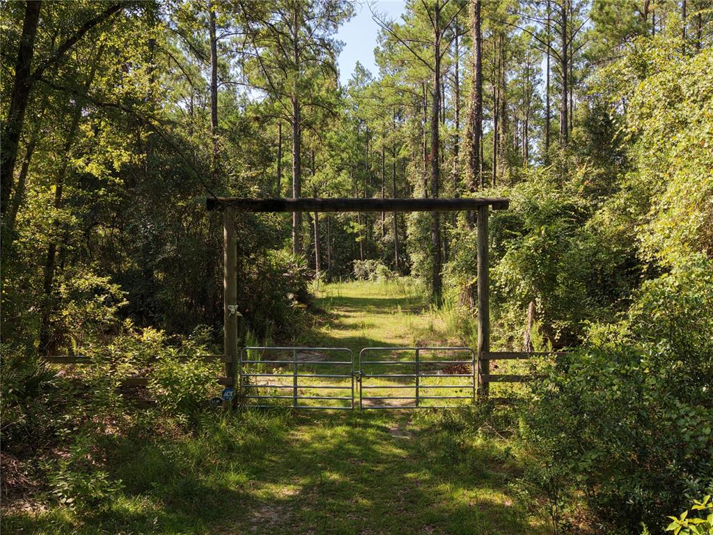 A metal gate stands beneath a wooden archway at the entrance to a wooded path — 375 BUCK SPRINGS ROAD, PALATKA, FL