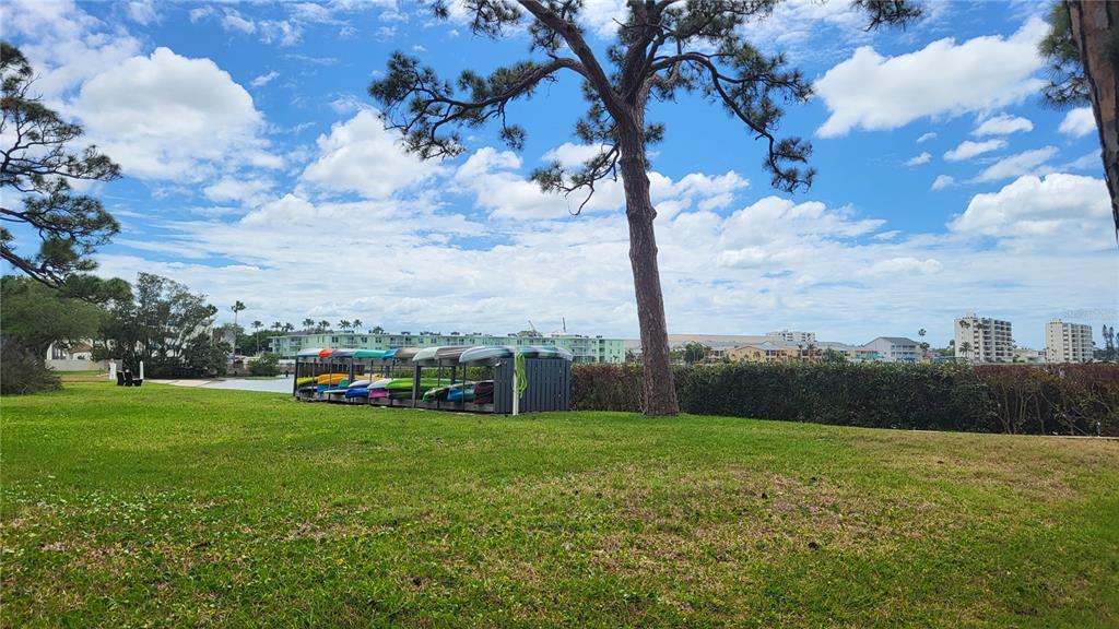 A grassy lawn features a kayak storage rack beneath a large tree near the water — 2700 BAYSHORE BOULEVARD UNIT 592, DUNEDIN, FL