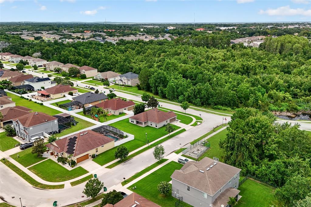An aerial view shows a suburban neighborhood with houses, green lawns, and dense surrounding trees — 356 BLACK SPRINGS LANE, WINTER GARDEN, FL