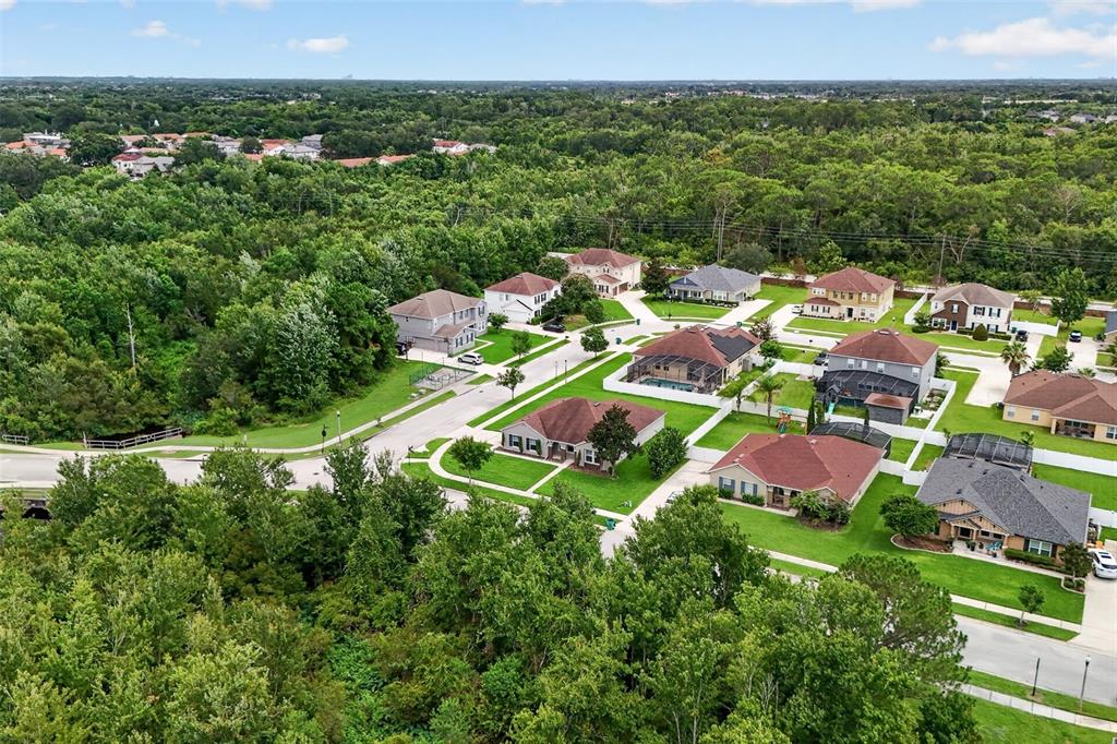 An aerial view shows a suburban neighborhood with houses surrounded by dense green trees — 356 BLACK SPRINGS LANE, WINTER GARDEN, FL