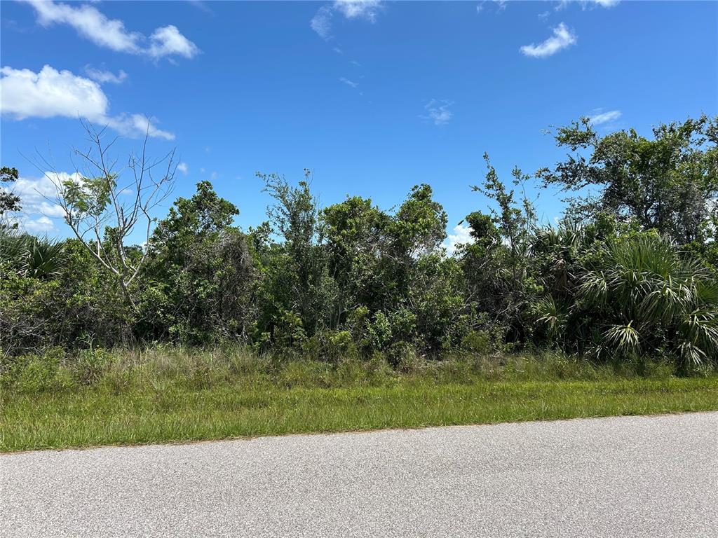 A paved road runs in front of a dense, wooded lot under a blue sky — 15649 HENNIPEN CIRCLE, PORT CHARLOTTE, FL