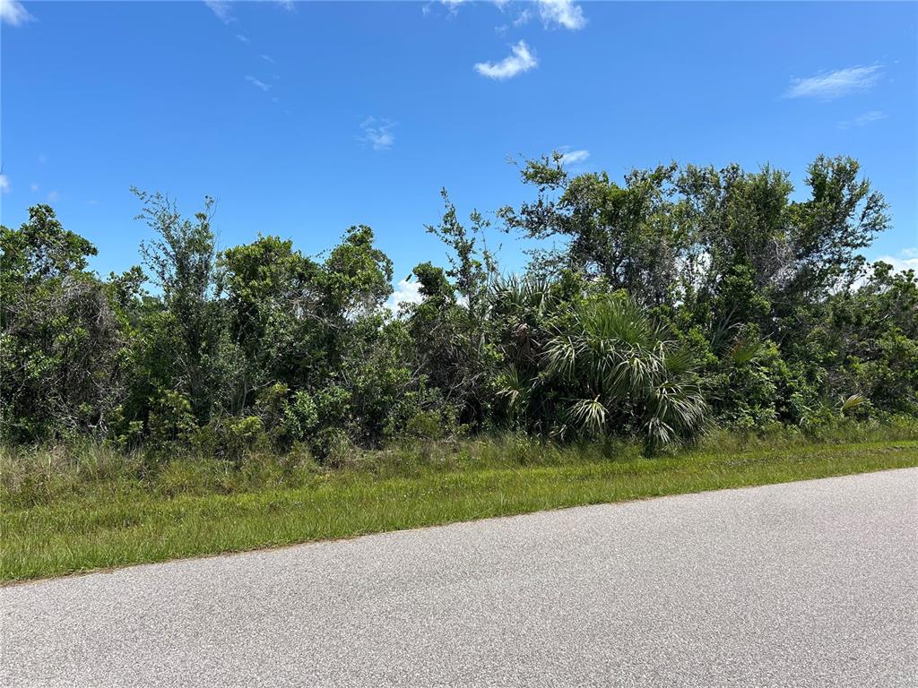 A paved road runs alongside a dense, wooded lot under a blue sky — 15649 HENNIPEN CIRCLE, PORT CHARLOTTE, FL