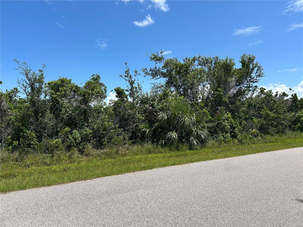 A paved road runs alongside a dense, wooded lot under a bright blue sky — 15649 HENNIPEN CIRCLE, PORT CHARLOTTE, FL