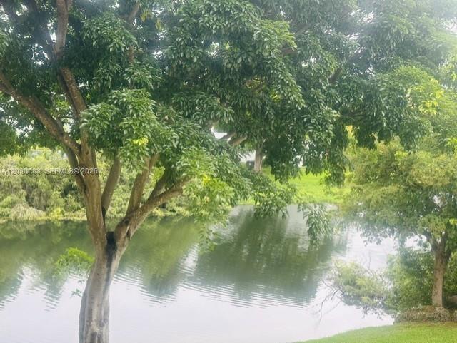A large tree stands in the foreground overlooking a calm pond with grassy banks — 8775 Park Blvd # 309, Miami FL 33172, MIAMI, FL