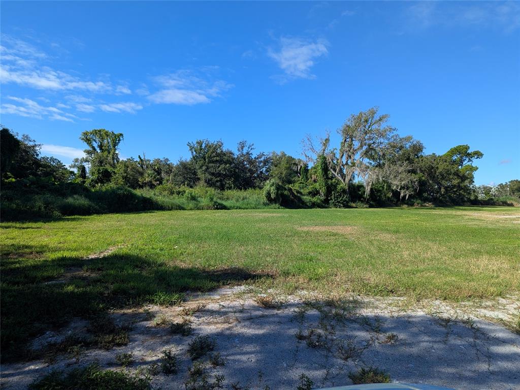 A large, flat, grassy vacant lot is bordered by a dense line of mature trees — SE CARLSTROM FIELD RD, ARCADIA, FL