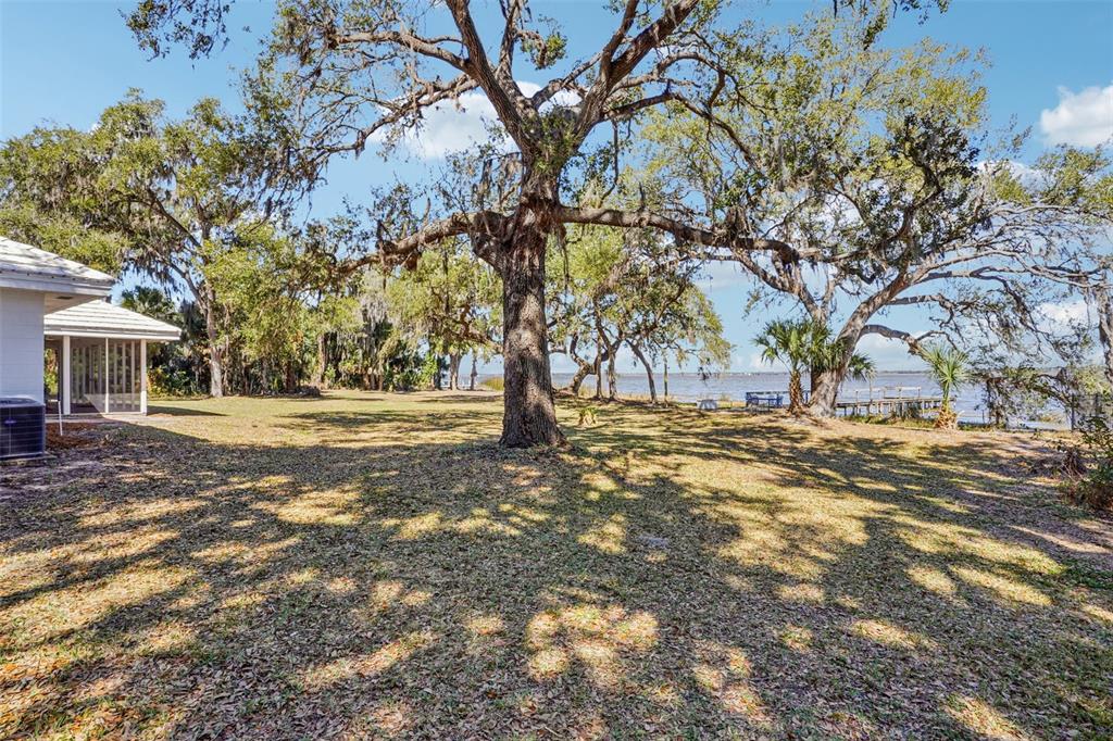A large oak tree stands in a grassy yard overlooking a lake near a house — 37048 COUNTY ROAD 452, GRAND ISLAND, FL