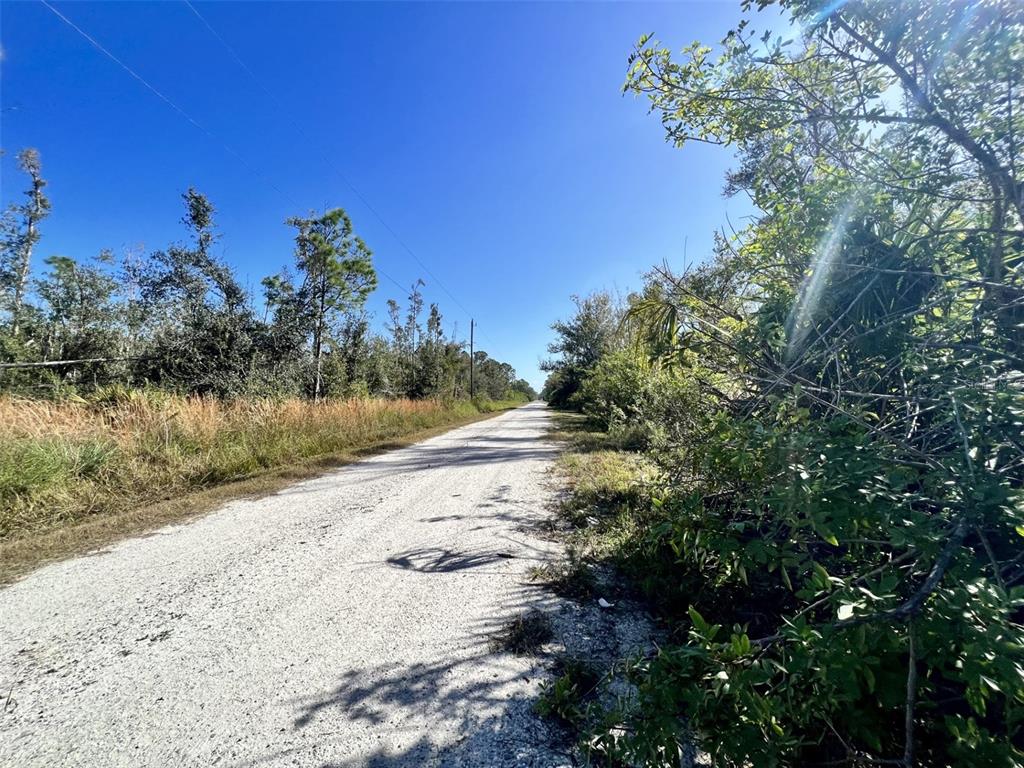 A gravel road stretches through a rural landscape with trees and brush on both sides — 27275 LAS LOMAS DRIVE, PUNTA GORDA, FL