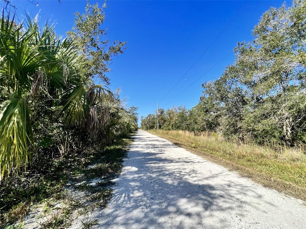 A dirt road stretches through a wooded area under a clear blue sky — 27275 LAS LOMAS DRIVE, PUNTA GORDA, FL