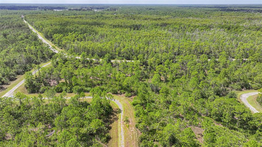 An aerial view of a wooded lot with paved roads winding through a forest — 309 NAGLE COURT, LEHIGH ACRES, FL