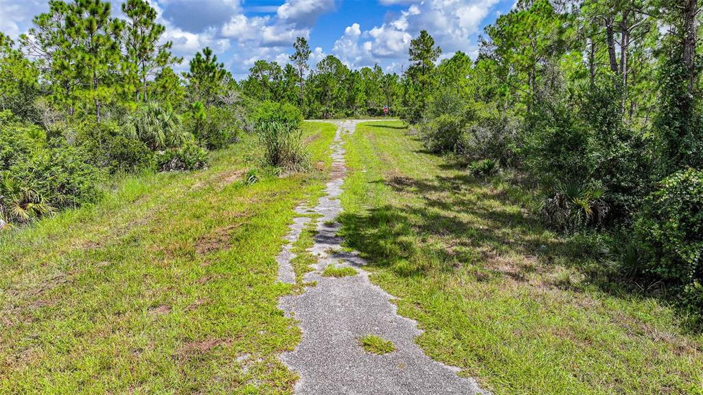 A narrow, weathered asphalt path leads through a grassy, wooded area under a cloudy sky — 309 NAGLE COURT, LEHIGH ACRES, FL