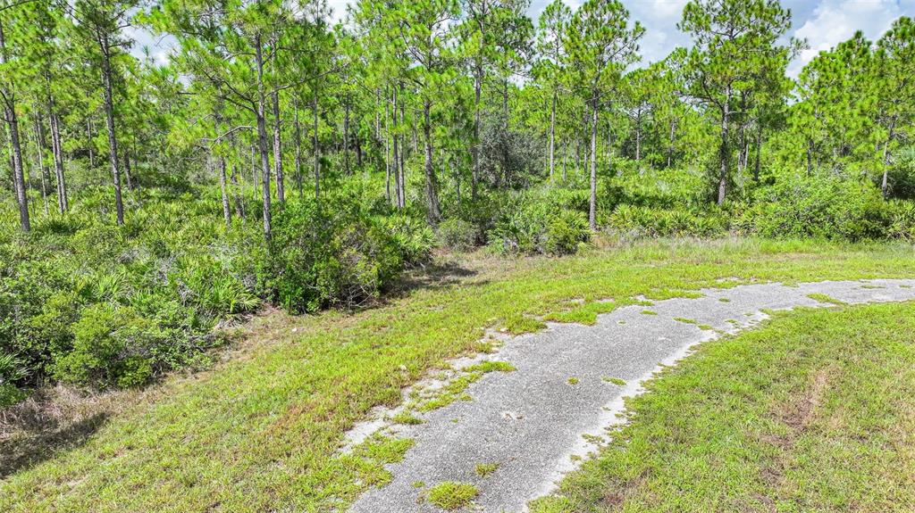 A paved path curves through a grassy area in front of a dense pine forest — 309 NAGLE COURT, LEHIGH ACRES, FL