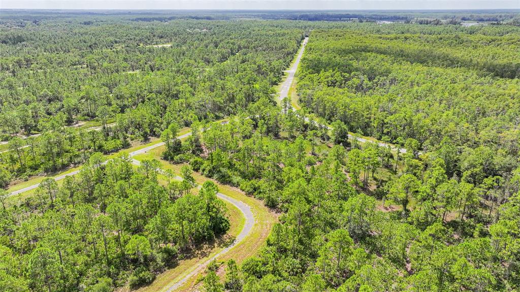 An aerial view shows paved roads winding through a dense, wooded forest of pine trees — 309 NAGLE COURT, LEHIGH ACRES, FL
