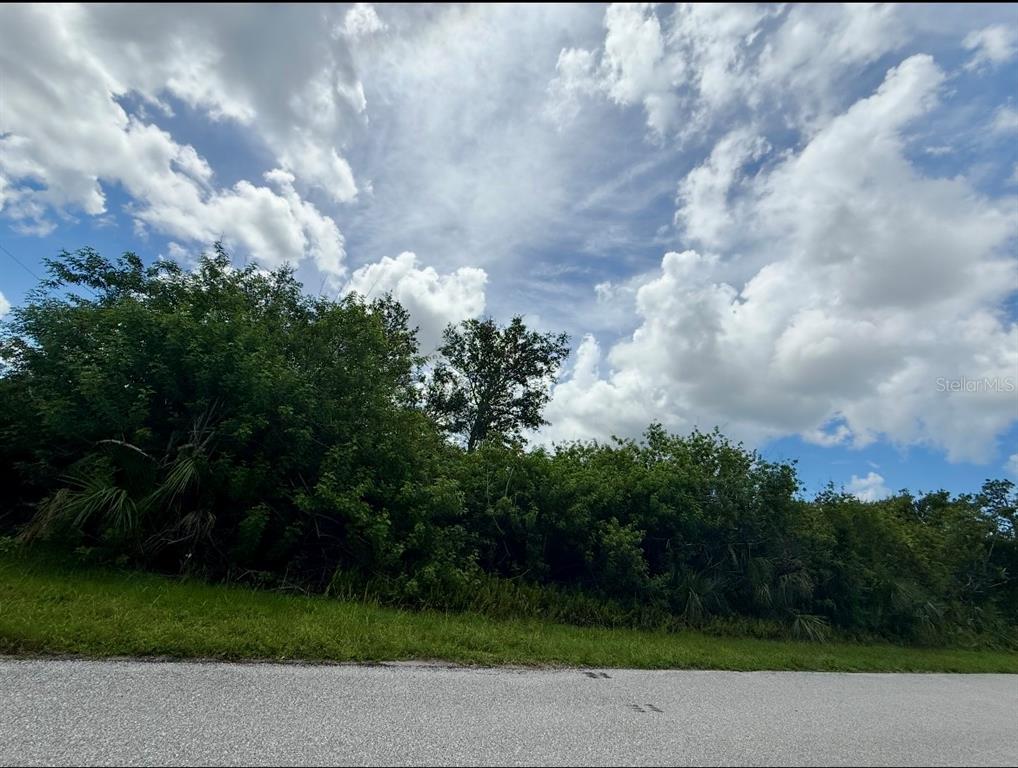 A view of a grassy roadside area with dense trees and a cloudy blue sky — 6057 BOWIE LANE, ENGLEWOOD, FL