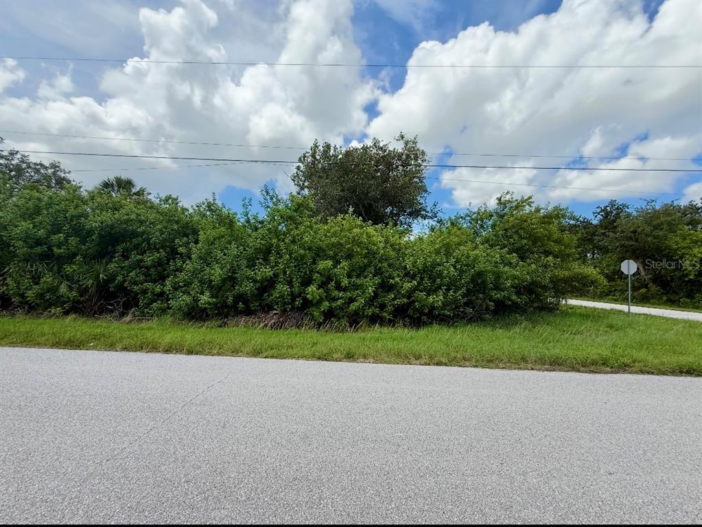 A paved road runs in front of a dense, overgrown lot with trees and shrubs — 6057 BOWIE LANE, ENGLEWOOD, FL