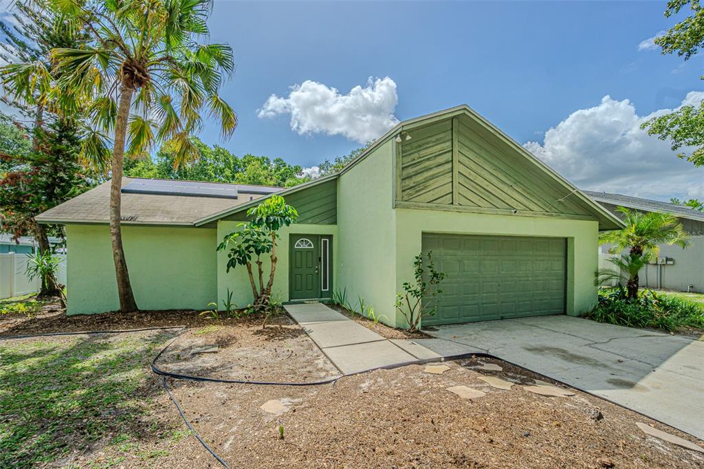 A single-story house with light green stucco, a dark green garage door, and a palm tree — 18425 SWAN LAKE DRIVE, LUTZ, FL