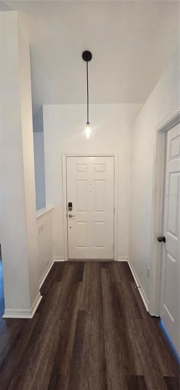 An entryway features dark wood-look flooring, a white door, and a single hanging pendant light — 1419 NW 89TH TERRACE, GAINESVILLE, FL