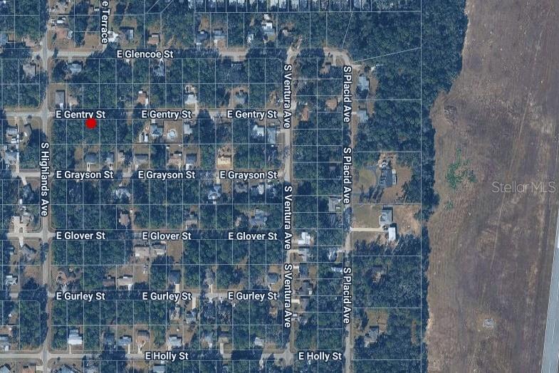 A wooded, undeveloped residential lot is viewed from the edge of a paved street — 6600 E GENTRY STREET, INVERNESS, FL