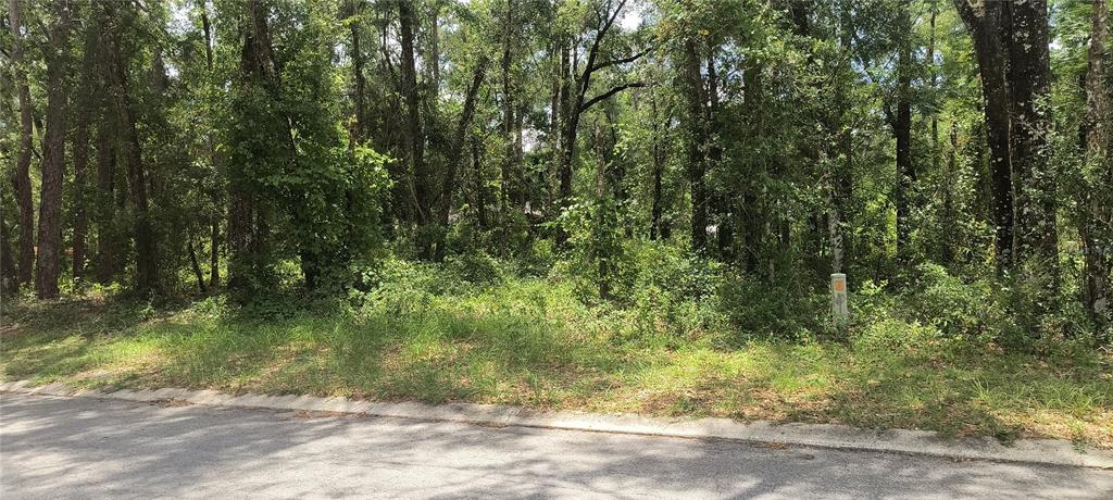 A view of a vacant, wooded residential lot from the edge of a paved road — 6600 E GENTRY STREET, INVERNESS, FL