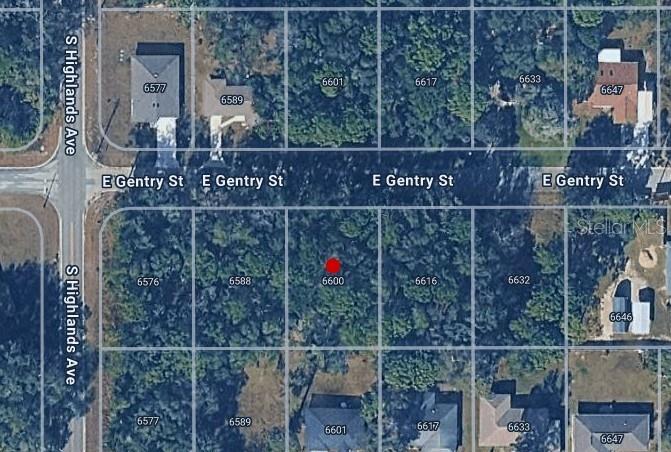 This is an aerial map showing a vacant lot marked with a red dot — 6600 E GENTRY STREET, INVERNESS, FL