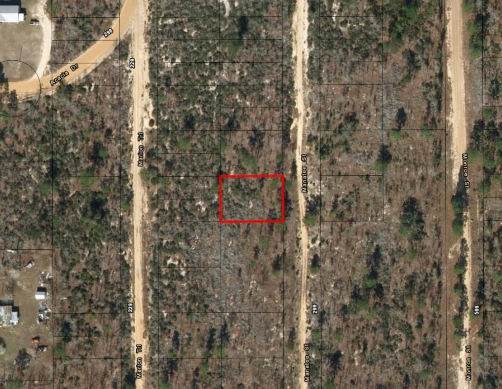 This is an aerial map showing a rectangular plot of land outlined in red — 0 Manatee Street, FL 32148, FL