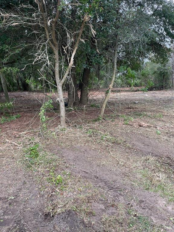 US HWY 27, FROSTPROOF, FL — photo 4 of 5