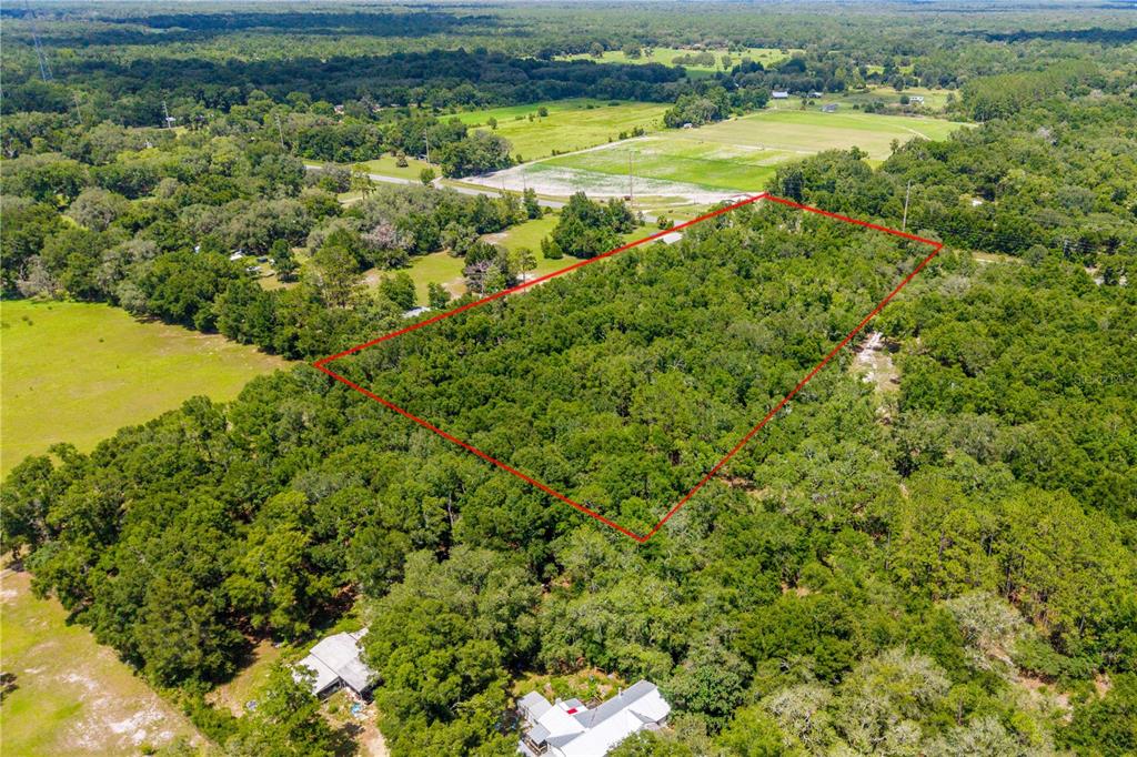 An aerial view shows a rectangular plot of land outlined in red amidst dense trees — TBD NE 349 , LOT 15 HIGHWAY, OLD TOWN, FL