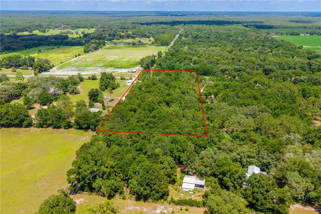 An aerial view shows a rectangular plot of land outlined in red amidst dense forest — TBD NE 349 , LOT 15 HIGHWAY, OLD TOWN, FL