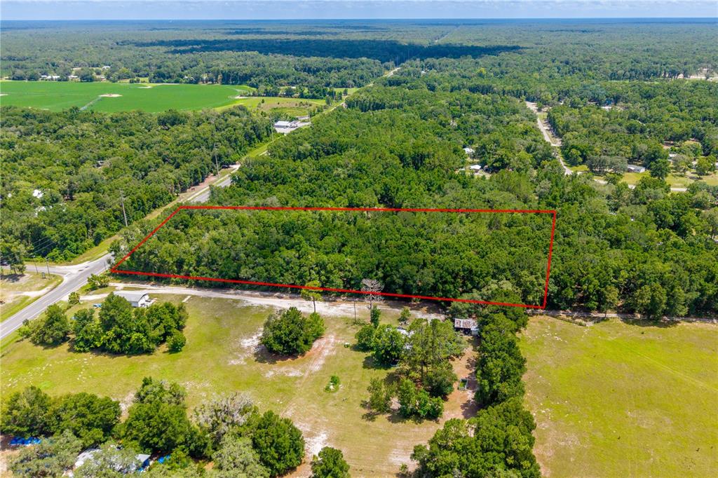 An aerial view shows a rectangular plot of wooded land outlined in red — TBD NE 349 , LOT 15 HIGHWAY, OLD TOWN, FL