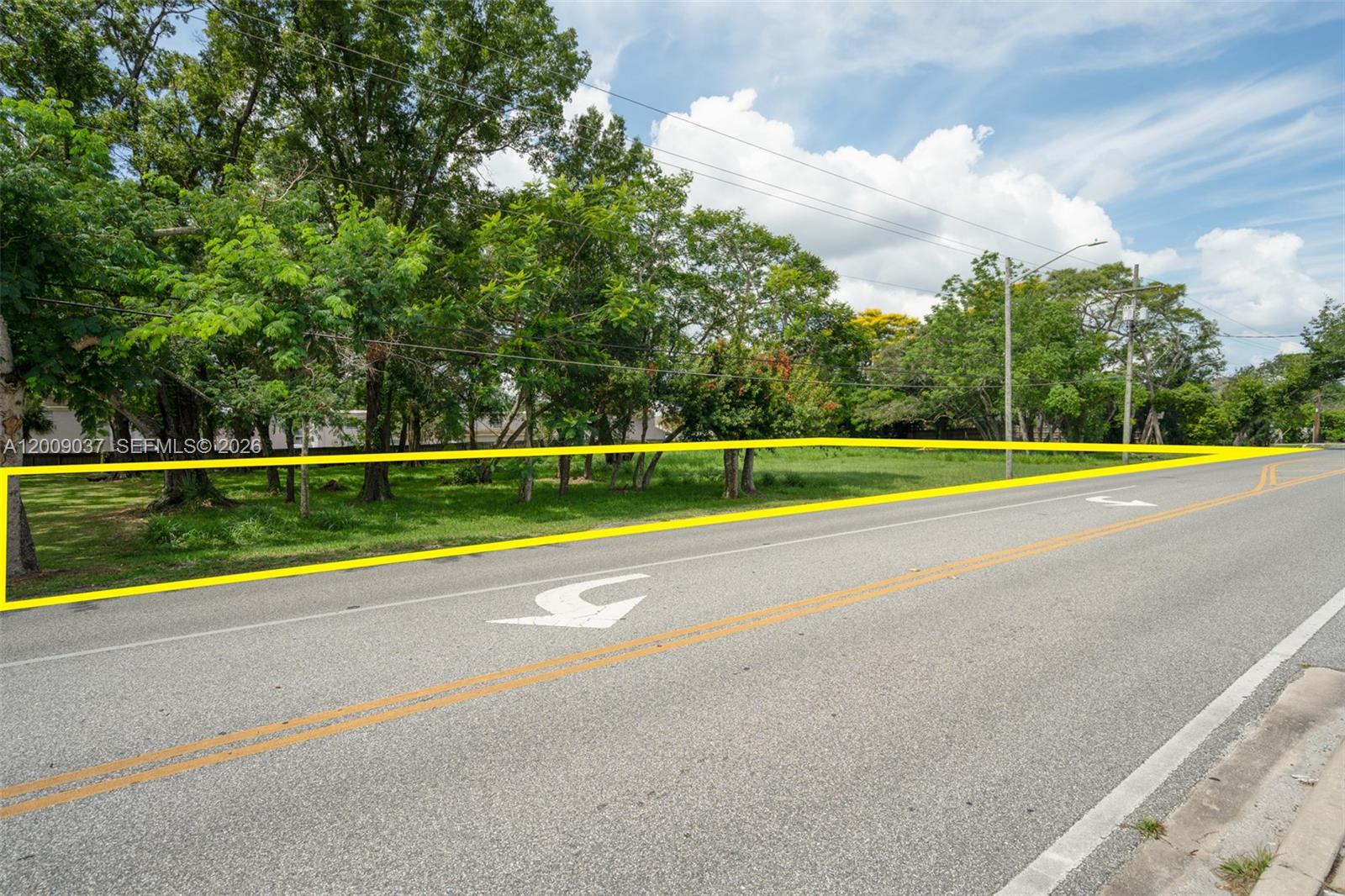 A paved road with lane markings runs alongside a grassy lot with several trees — 5574 Old Cheney Highway, Orlando FL 32807, ORLANDO, FL