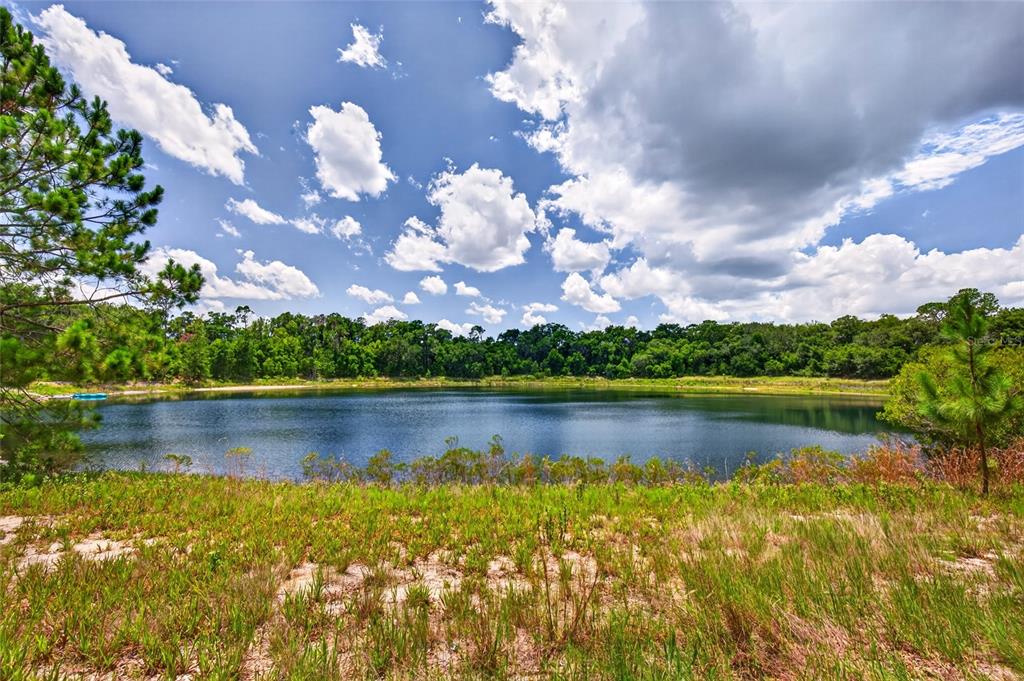 A view of a calm lake surrounded by trees under a bright, cloudy sky — MALAUKA LOOP, OCKLAWAHA, FL