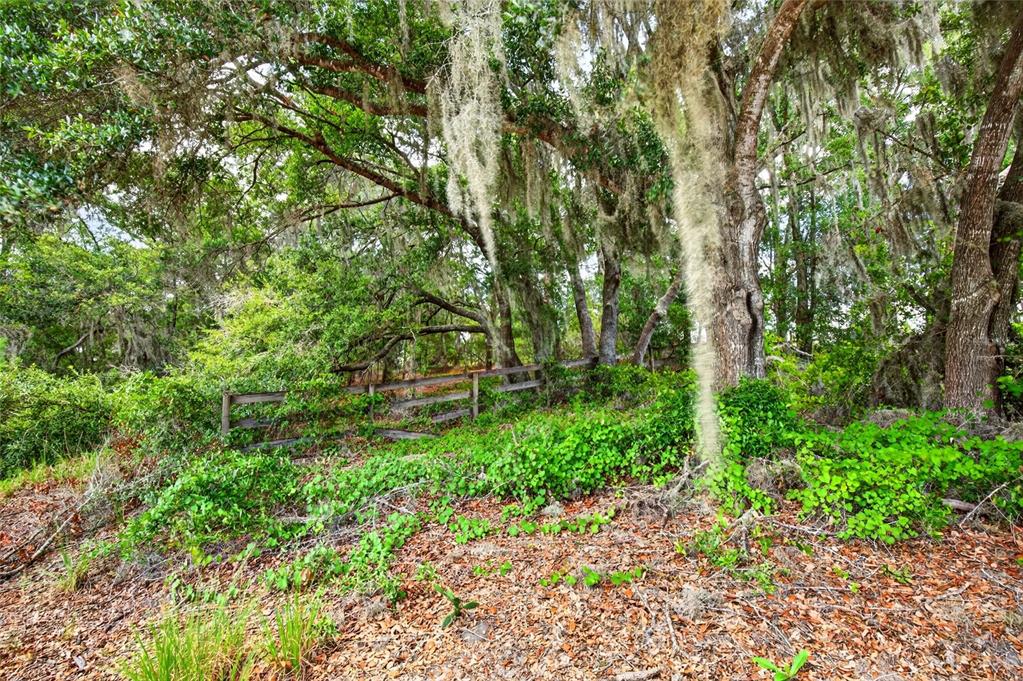 A wooden fence runs through a wooded area with trees draped in Spanish moss — MALAUKA LOOP, OCKLAWAHA, FL