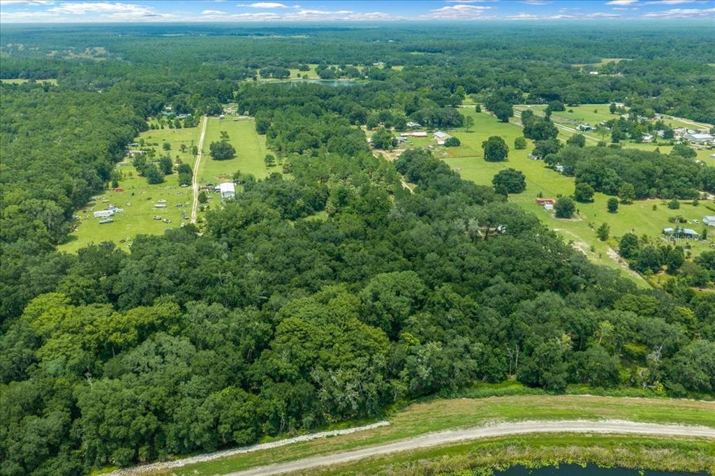 An aerial view shows a large, wooded property with open grassy fields and a nearby pond — TBD SE 95TH ST RD, OCKLAWAHA, FL