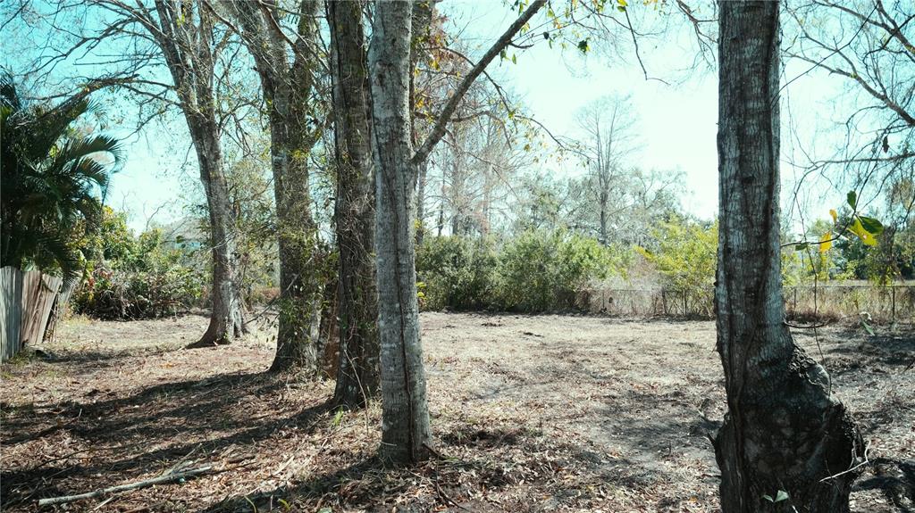 A cleared, wooded lot with several tall trees and a fence in the background — 00 N LOCKWOOD RIDGE ROAD, SARASOTA, FL