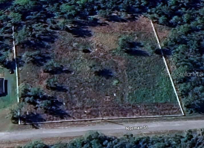An aerial view shows a rectangular, undeveloped plot of land bordered by trees and Norman Street — 7285 NORMAN STREET, WEBSTER, FL
