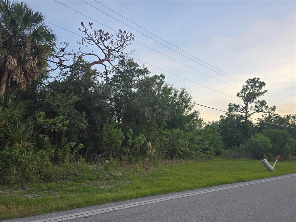 A grassy roadside borders a dense area of trees and vegetation under power lines — 6721 RIVERSIDE DRIVE, PUNTA GORDA, FL