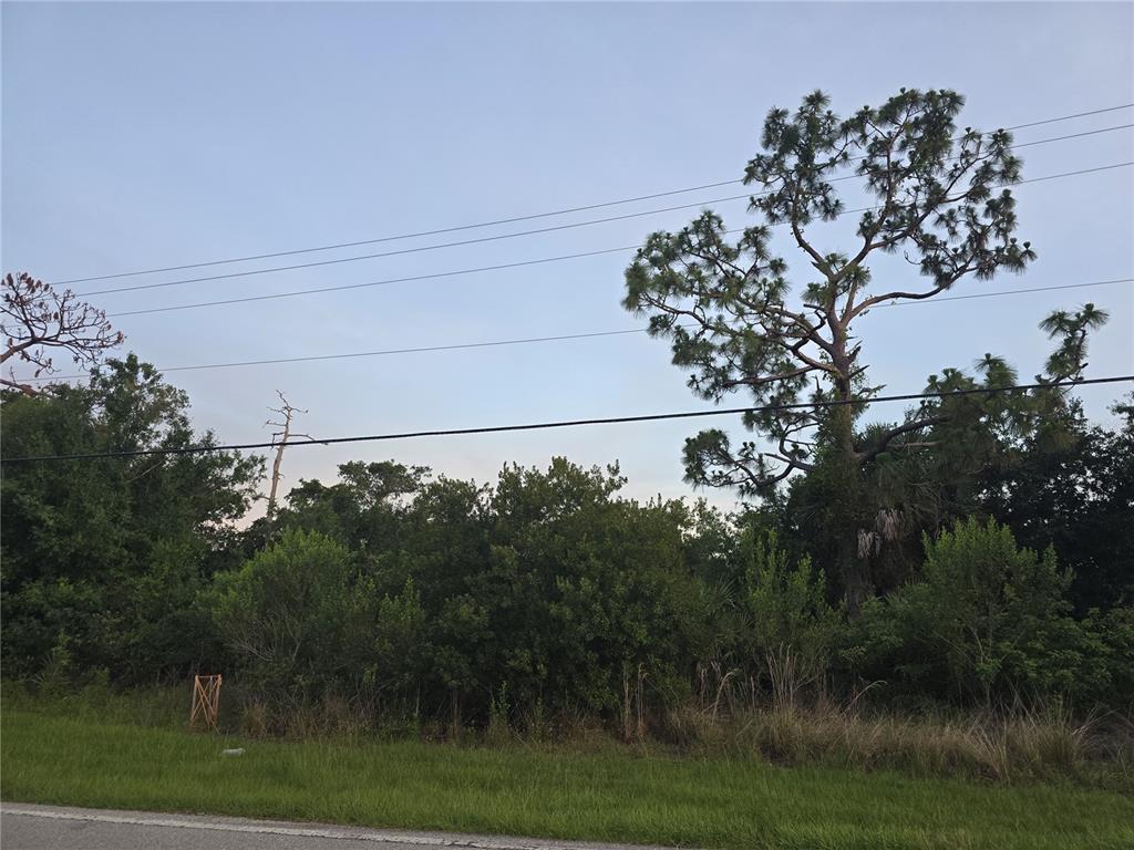 A view of a grassy roadside leading to a dense wooded area with tall trees — 6721 RIVERSIDE DRIVE, PUNTA GORDA, FL