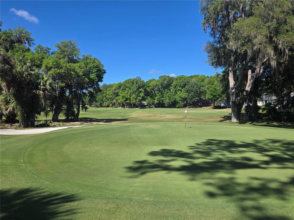 A view of a golf course putting green with a flag and surrounding trees — 9123 SW 47TH PLACE, GAINESVILLE, FL