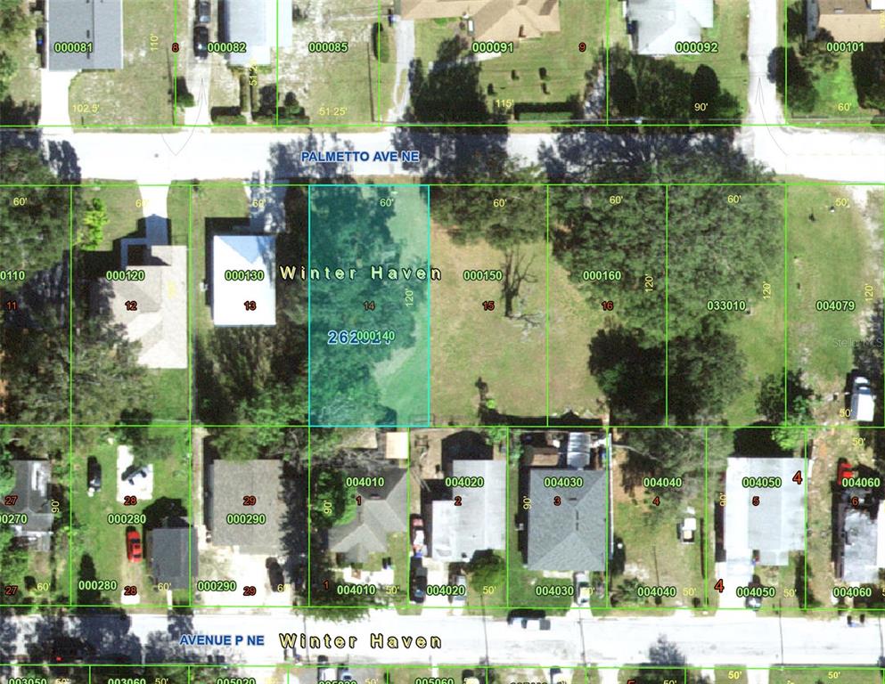 This is an aerial map showing property lot lines and parcel numbers in a neighborhood — PALMETTO AVENUE NE, WINTER HAVEN, FL